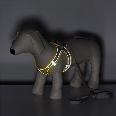 Комплект с мягкой шлейкой, быстросъемный, M, поводок 140×1.5 см, ОШ 38-44 см, ОГ 44-50 см, жёлтый