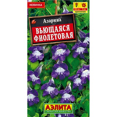 Азарина Фиолетовая вьющийся (Код: 93504)