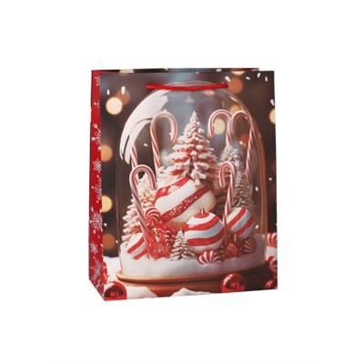 Пакет подарочный 18x23x10см / 5580M /уп 12/720/Новый год