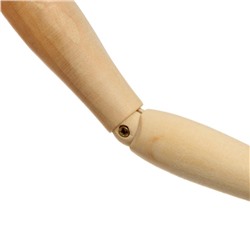 Деревянная модель - Человек 41 см