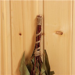 Веник для бани, эвкалиптовый, в пакете, «Добропаровъ»