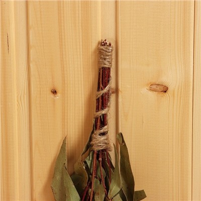 Веник для бани, эвкалиптовый, в пакете, «Добропаровъ»