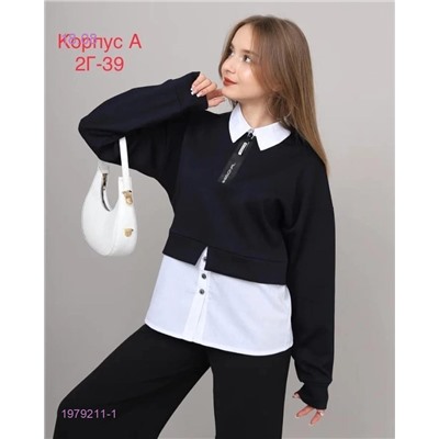 кофта 1979211-1