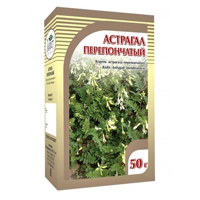 Астрагал перепончатый корень 50 гр.