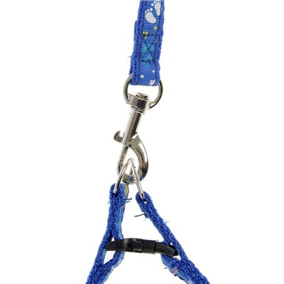 Комплект «Цветные следы», ширина 1 см, поводок 120 см, шлейка 23-35 см, синий