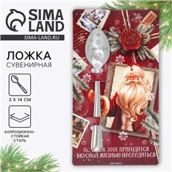 Ложка сувенирная на открытке «Подарок этот пригодится», 3×14 см