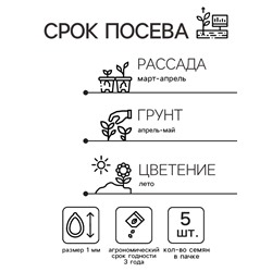 Семена цветов Колокольчик "Рапидо Уайт", 5шт