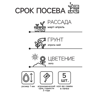 Семена цветов Колокольчик "Рапидо Уайт", 5шт
