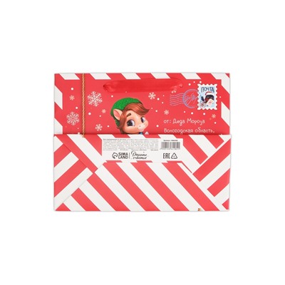 Пакет новогодний ламинированный подарочный «Новый год 2026: Лошадка», MS 23×18×10 см