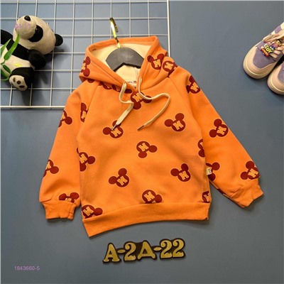 Кофта с начесом 1843660-5