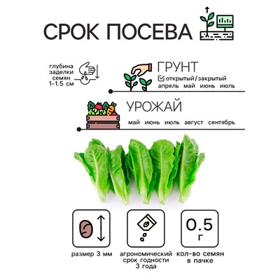 Семена Салат листовой "Московский парниковый", 0,5 г