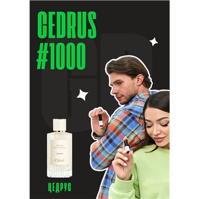 Cedrus / GET PARFUM	1000