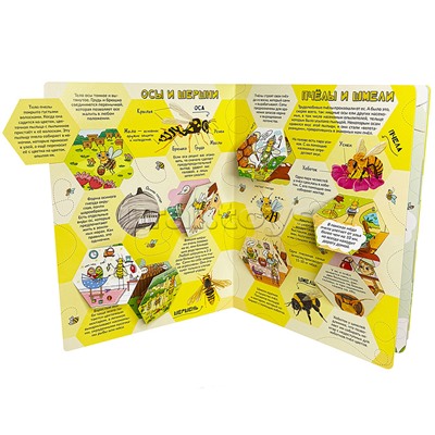 Энциклопедия с окошками (ЦК) Моя первая книга о насекомых