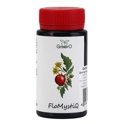 Удобрение для гидропоники "GroBro" FloMystiQ, 100мл