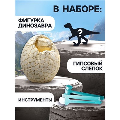 Раскопки «Диномир», гипсовое яйцо, инструменты, 5+