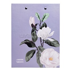 Клипборд "SigNature" A5 (180x240 мм) картон толщина 2 мм, матовая ламинация