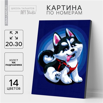 Картина по номерам на холсте с подрамником «Щенок хаски», 30×20 см