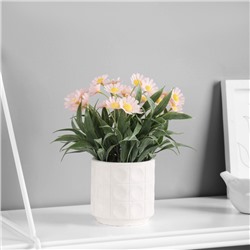 Искусственный цветок в горшке «Астра экстра мини», 8×20 см, МИКС