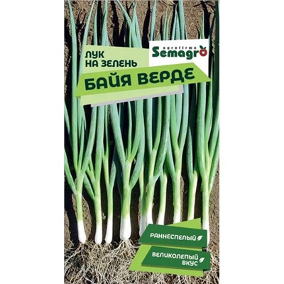 8046N Лук на зелень Байя Верде 200шт