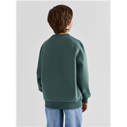 СВИТШОТ ДЛЯ МАЛЬЧИКОВ 123500