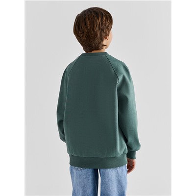 СВИТШОТ ДЛЯ МАЛЬЧИКОВ 123500