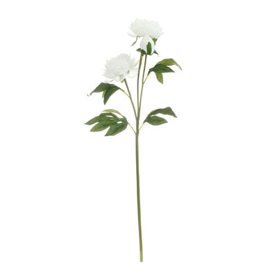 Цветы искусственные «Пион Беверли люкс», h=60 см, белые