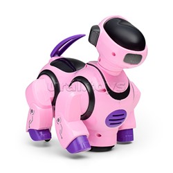 Собака "Зажигательный танец" в коробке