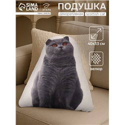 Подушка «Этель» Scottish cat, 40×33 см, 100% п/э, велюр