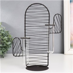 Фигурка с колбами (вазонами) «Кактус. Штрихи», чёрный, 15×9×26 см