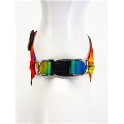 Комплект «Радуга», капрон, поводок 120×1.5 см, ОГ 24-34 см, разноцветный