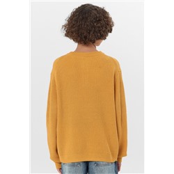 Джемпер для мальчиков MARK FORMELLE, 1227845