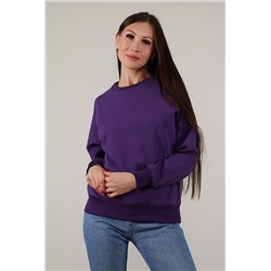 Толстовка 88053 (Фиолетовый)