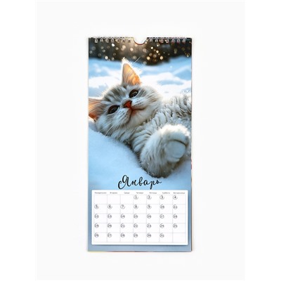 Календарь 2026 на ригеле «Кот в цветах» 16.5×34 см