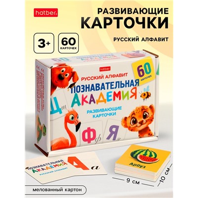 Развивающие карточки «Познавательная академия», 60 шт.
