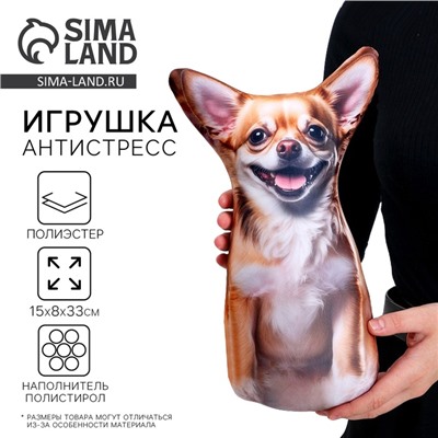 Антистресс игрушка, собака «Чихуа»