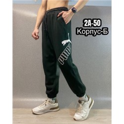 Спортивные брюки #22798877