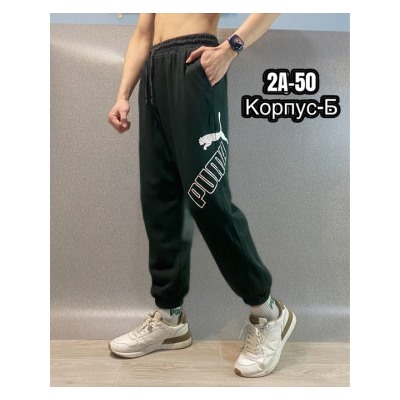 Спортивные брюки #22798877