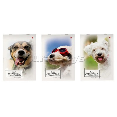 Блокнот А5 40 л. "Щеночки" 3 вида