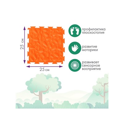 Модульный массажный коврик ОРТОДОН, набор №8 «Лесная тропинка», 8 шт.