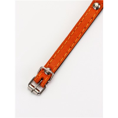 Ошейник, 30.5×1.2 см, ОШ 20-27 см, однослойный, неукрашенный, на фетре, кожа, оранжевый