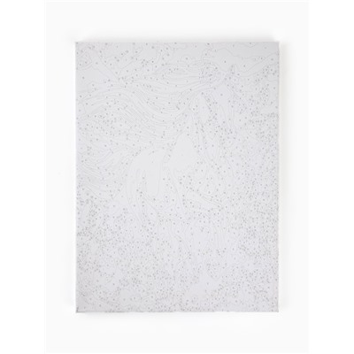 Картина по номерам на холсте «Белый конь» 30×40 см