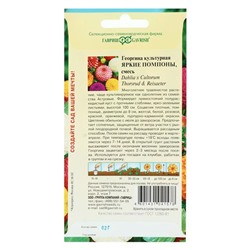 Семена цветов Георгина "Яркие помпоны", ц/п,   0,2 г