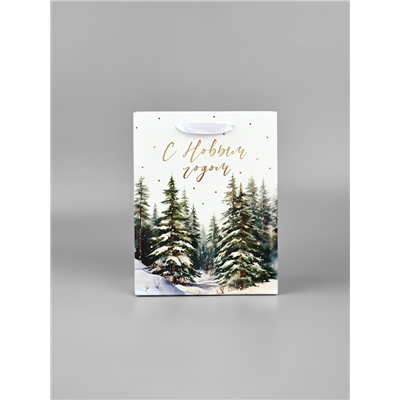 Пакет подарочный новогодний ламинированный «С Новым годом», MS 18×23×10 см