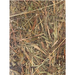 Сено луговое для грызунов и кроликов, 15 л, LITTLE VILLAGE-Triol