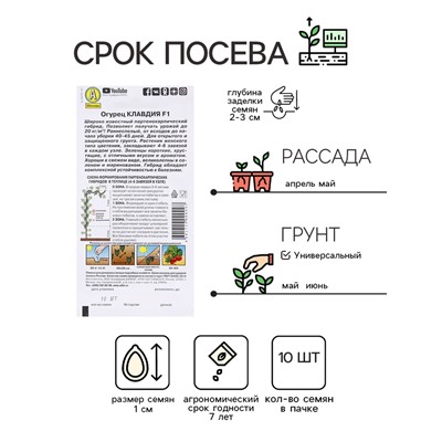 Семена Огурец «Клавдия», F1, партенокарпический, раннеспелый, 10 шт., «Агрофирма АЭЛИТА»