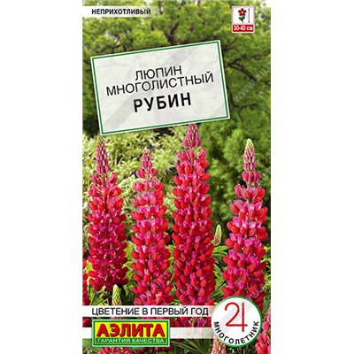 1629A Люпин Рубин 7 шт