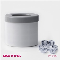 Форма для льда Доляна, 9×8 см, белая, серая