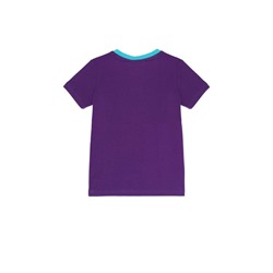 Фуфайка трикотажная для мальчиков (футболка)