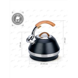 Merali Чайник ЧН-34-02