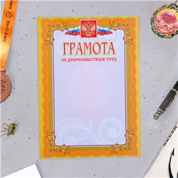 Папка «Портфолио старшеклассника», 8 грамот, А4